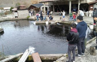 釣り堀に関する記事一覧 ページ 5 釣り野郎