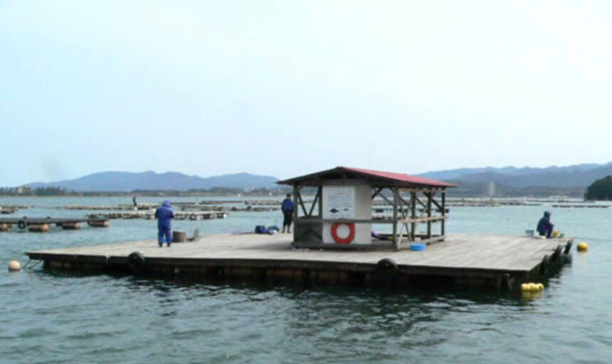 西中渡船 京都久美浜 筏 カセ釣り 京都 釣り野郎