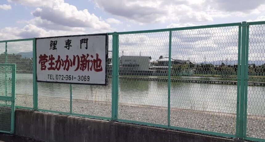 かかり釣池 鯉釣り専門の釣り池 大阪 釣り野郎