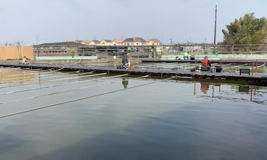 へら鮒釣り堀こしが池 堺市西区のヘラブナ専門釣り池 大阪 釣り野郎 へら鮒釣り堀こしが池 堺市西区のヘラブナ専門釣り池 大阪 釣り野郎