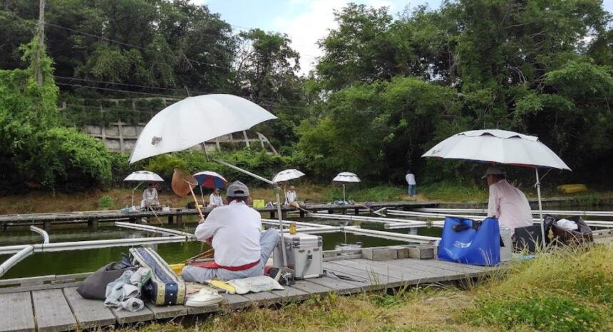 阪奈園へら鮒センター 大東市のヘラブナ専門の釣り堀 大阪 釣り野郎