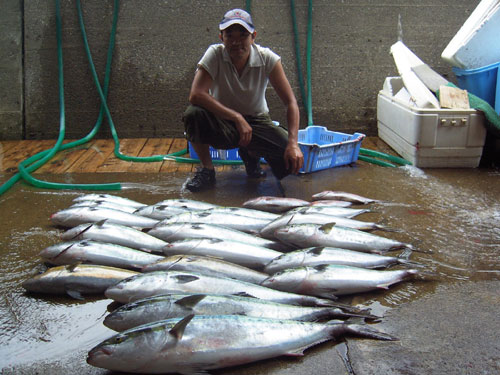 大和丸海上釣堀 釣ったお魚はすべてお持ち帰りok 三重 釣り野郎