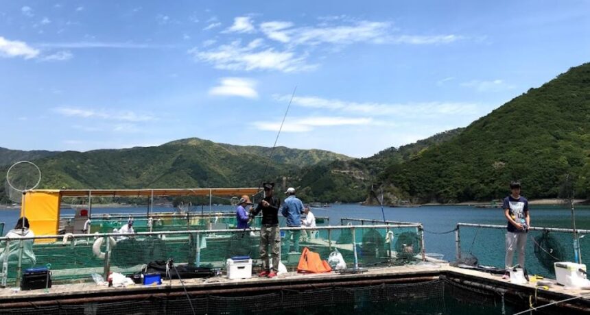 大和丸海上釣堀 釣ったお魚はすべてお持ち帰りok 三重 釣り野郎