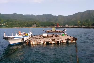 第六三幸丸 かかり釣りでチヌを狙う 三重 釣り野郎