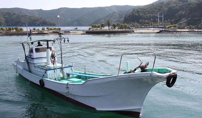 釣り船 千歳丸 タイラバ エギング ジギング 夜イカ エサ釣り 三重 釣り野郎