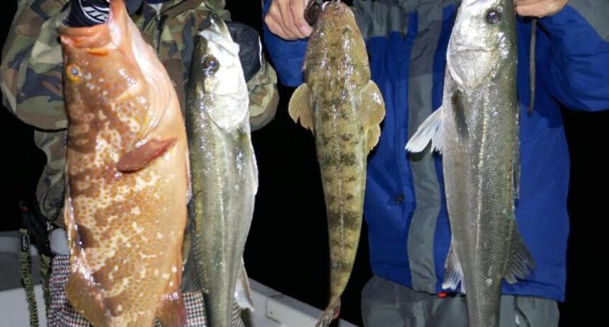 名古屋港ボートシーバスガイド Topgun ソルトウォーターフィッシング プロガイドサービス 愛知 釣り野郎