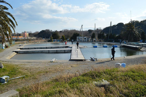 美浜フィッシングパーク 名古屋から一番近い釣り掘 愛知 釣り野郎