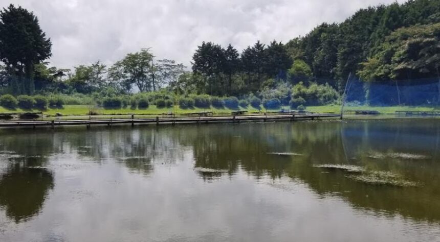 柳池ヘラブナセンター ヘラブナ釣りを楽しむ 静岡県 釣り野郎