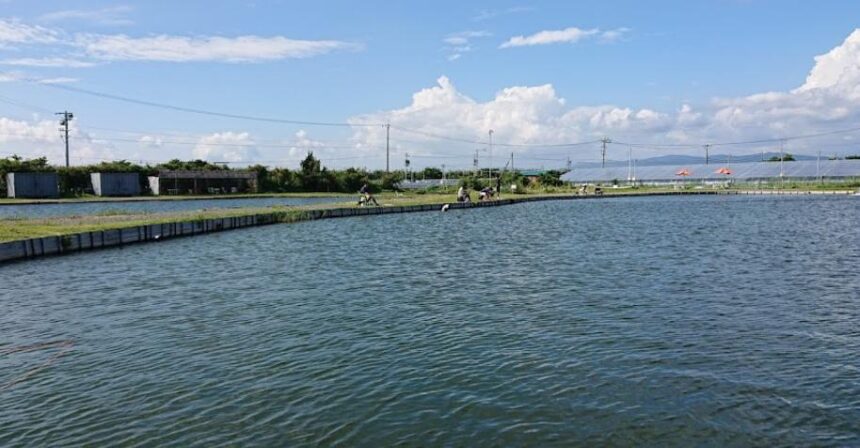 浜名湖フィッシングリゾート 静岡県西部最大の釣り場 静岡県 釣り野郎