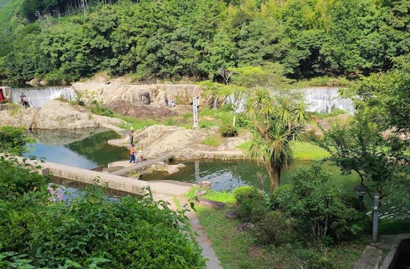 花の木公園 釣り堀センター 釣り堀ではニジマス釣りを楽しむ事ができます 愛知県 釣り野郎