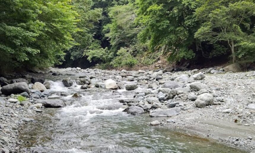 ヤドリキスポーツフィッシングエリア フライ ルアー渓流管理釣場y G L 神奈川県 釣り野郎