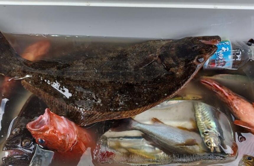 釣り船 釣丸 勝浦港発の遊漁船 千葉県 釣り野郎